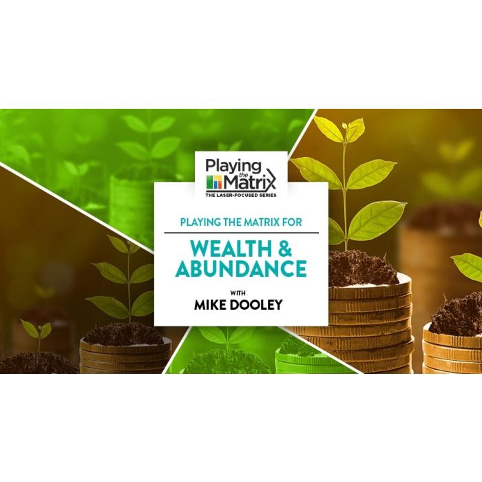 Playing the Matrix for Wealth & Abundance Online Course