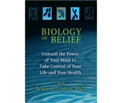 The Biology of Belief